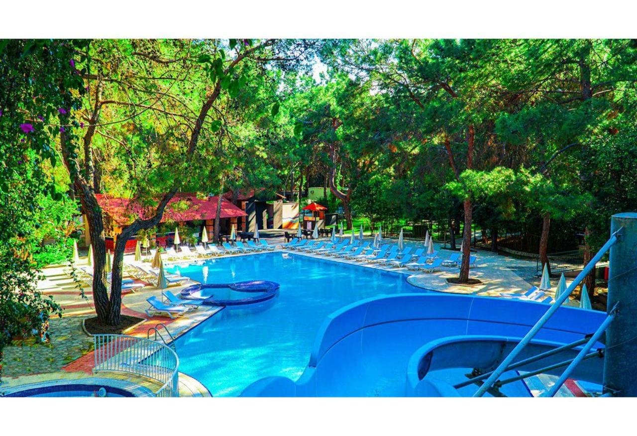 Festival Nature Hotel 凯梅尔 外观 照片