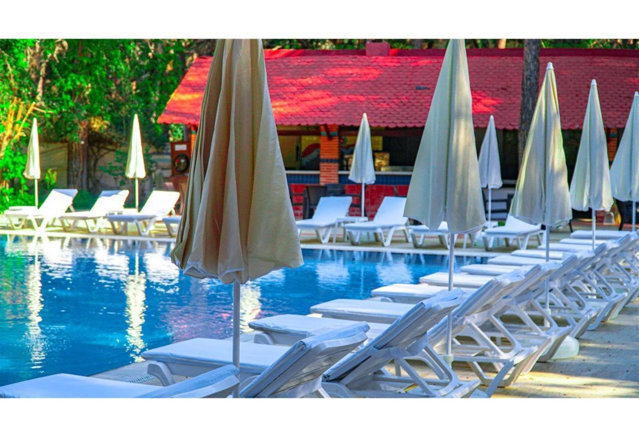 Festival Nature Hotel 凯梅尔 外观 照片