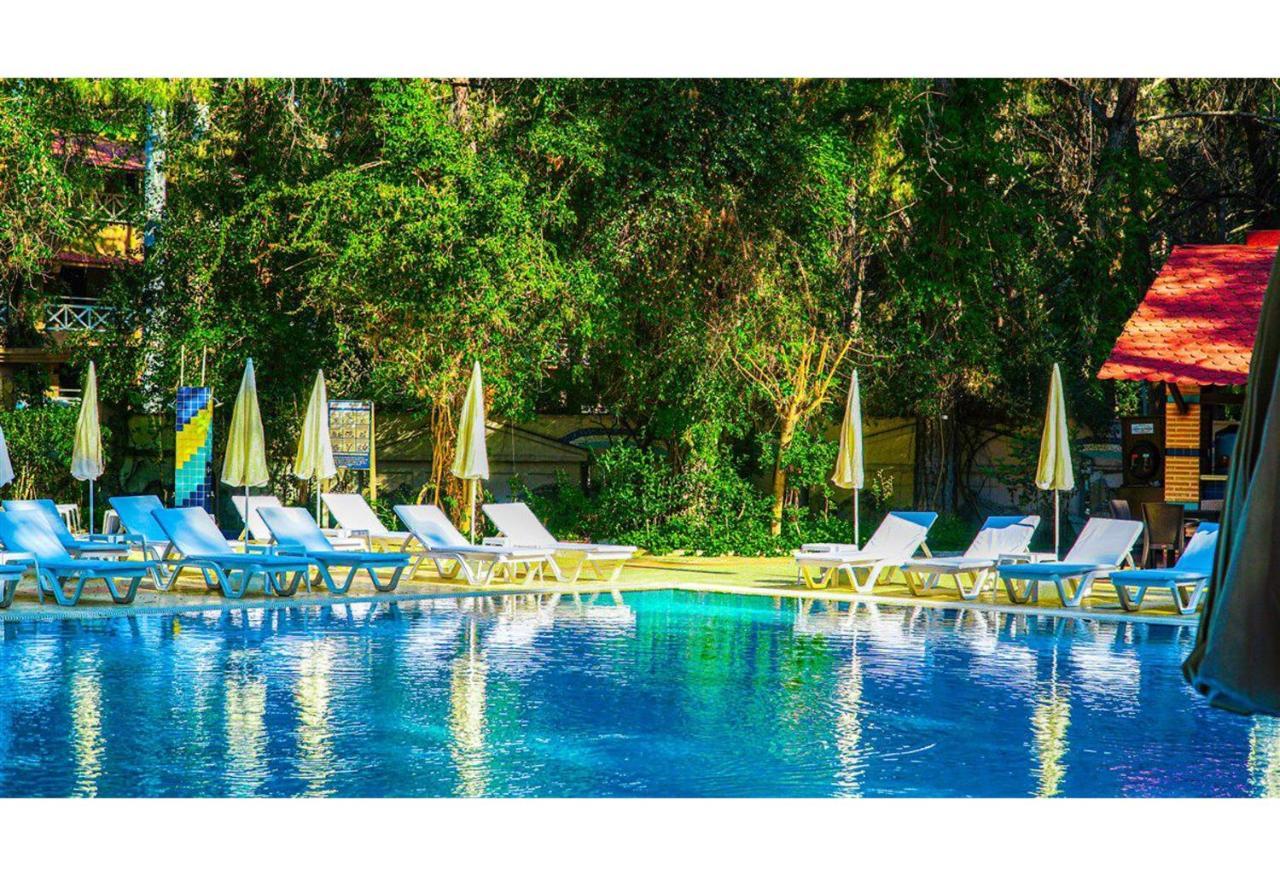 Festival Nature Hotel 凯梅尔 外观 照片