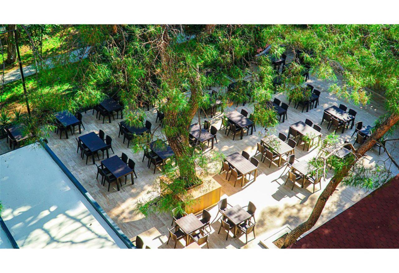 Festival Nature Hotel 凯梅尔 外观 照片