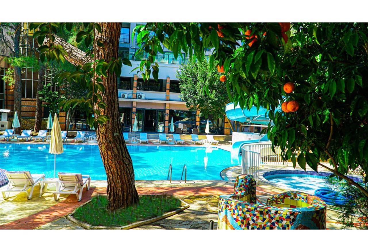 Festival Nature Hotel 凯梅尔 外观 照片