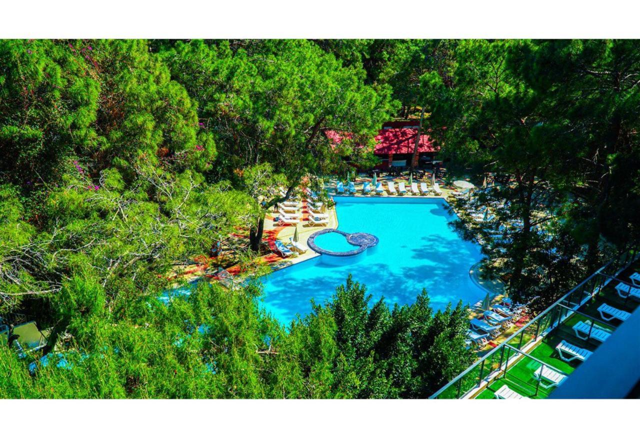 Festival Nature Hotel 凯梅尔 外观 照片
