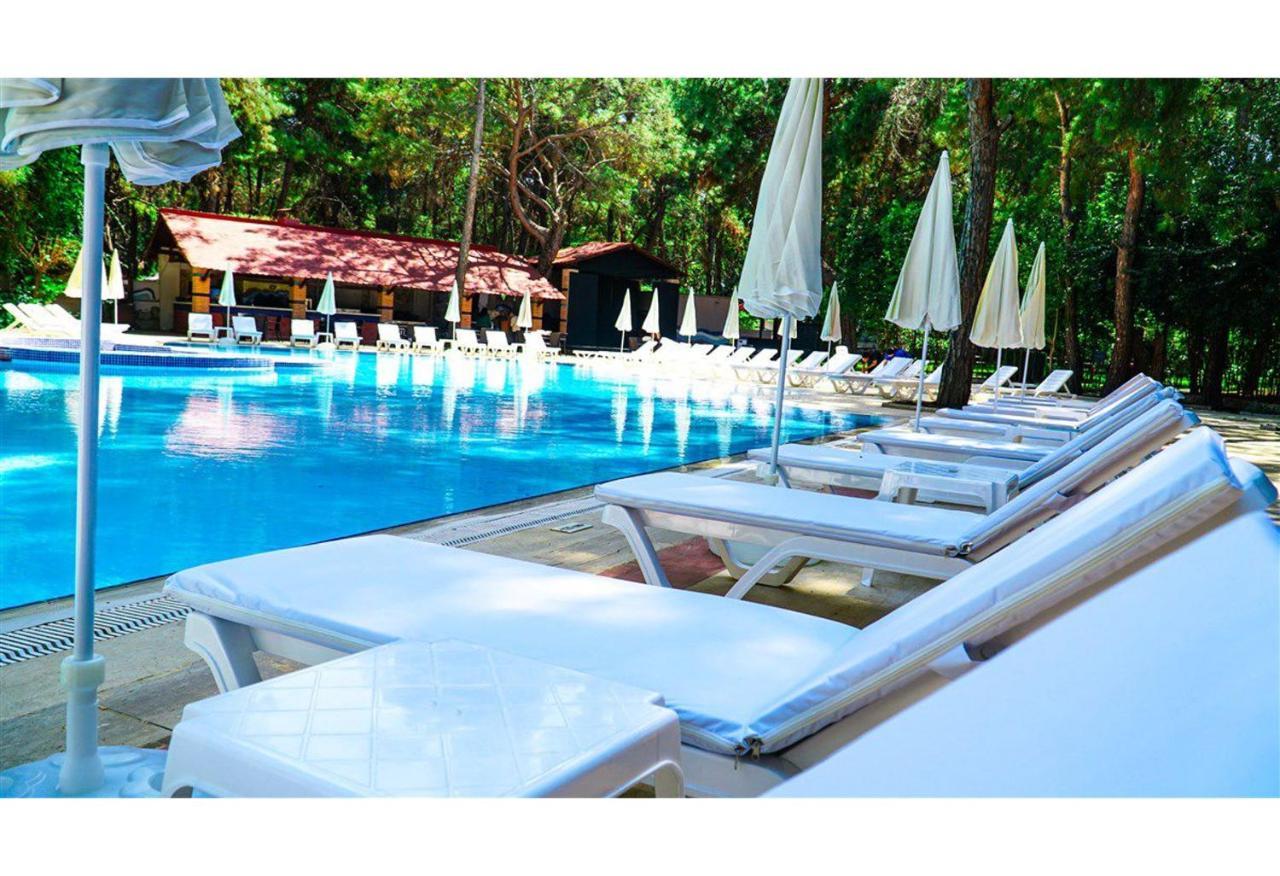 Festival Nature Hotel 凯梅尔 外观 照片