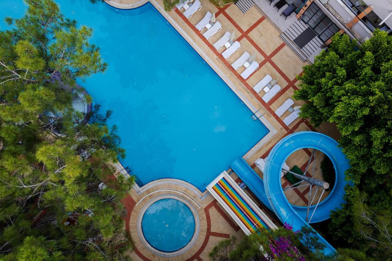 Festival Nature Hotel 凯梅尔 外观 照片